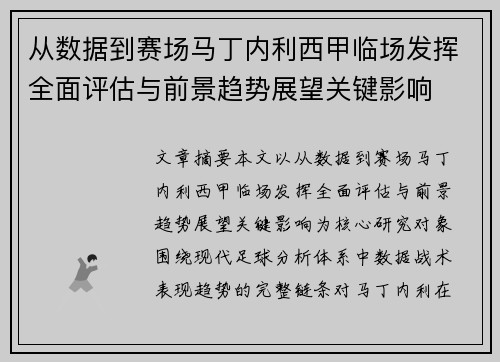 从数据到赛场马丁内利西甲临场发挥全面评估与前景趋势展望关键影响